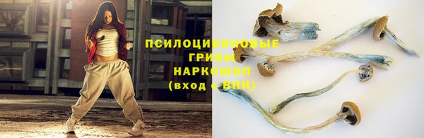 прущие крисы Аркадак