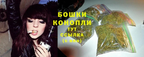 гидропоника Карпинск